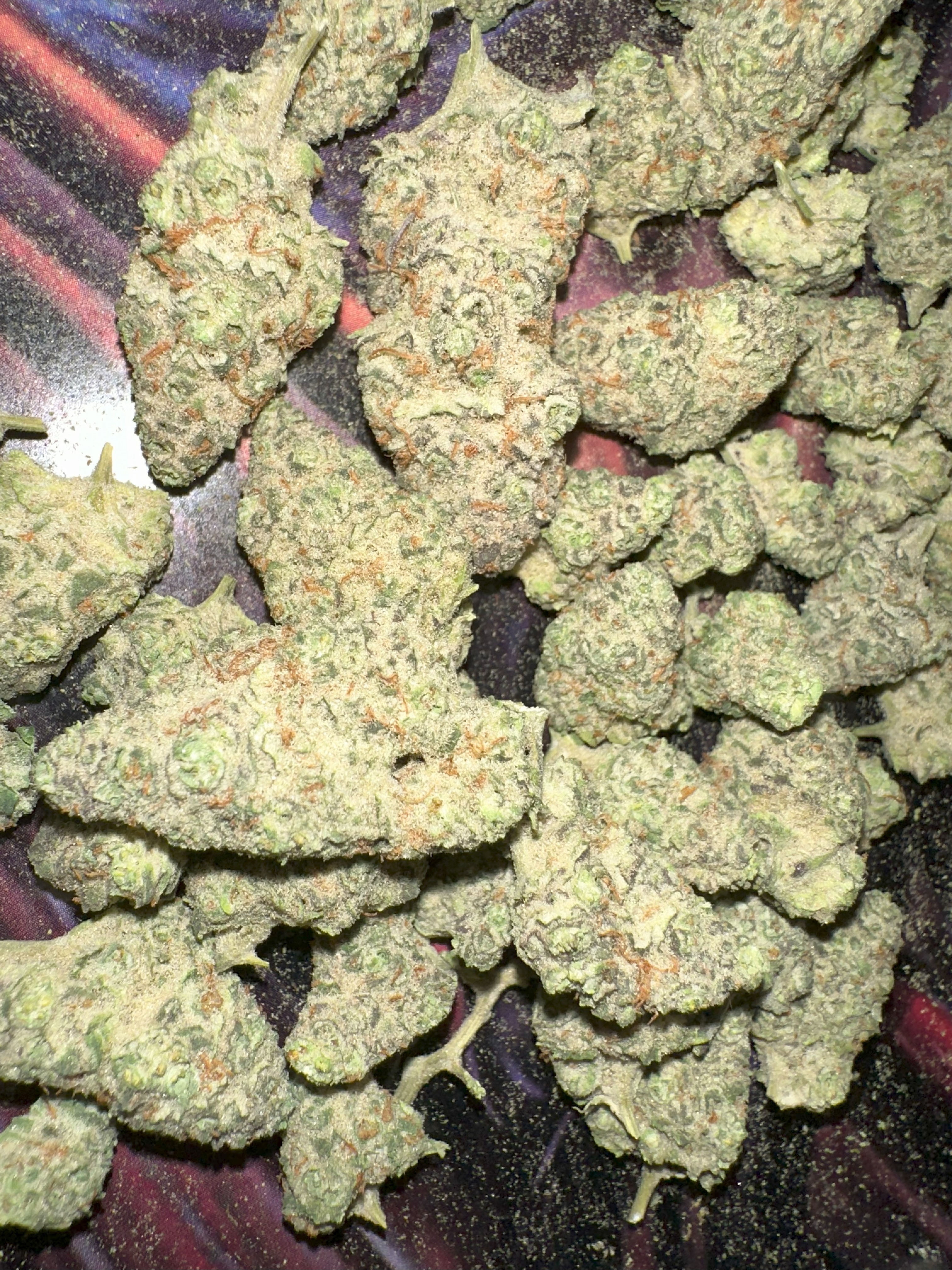 Zookies Strain - Limited Edition High-Grade Cannabis