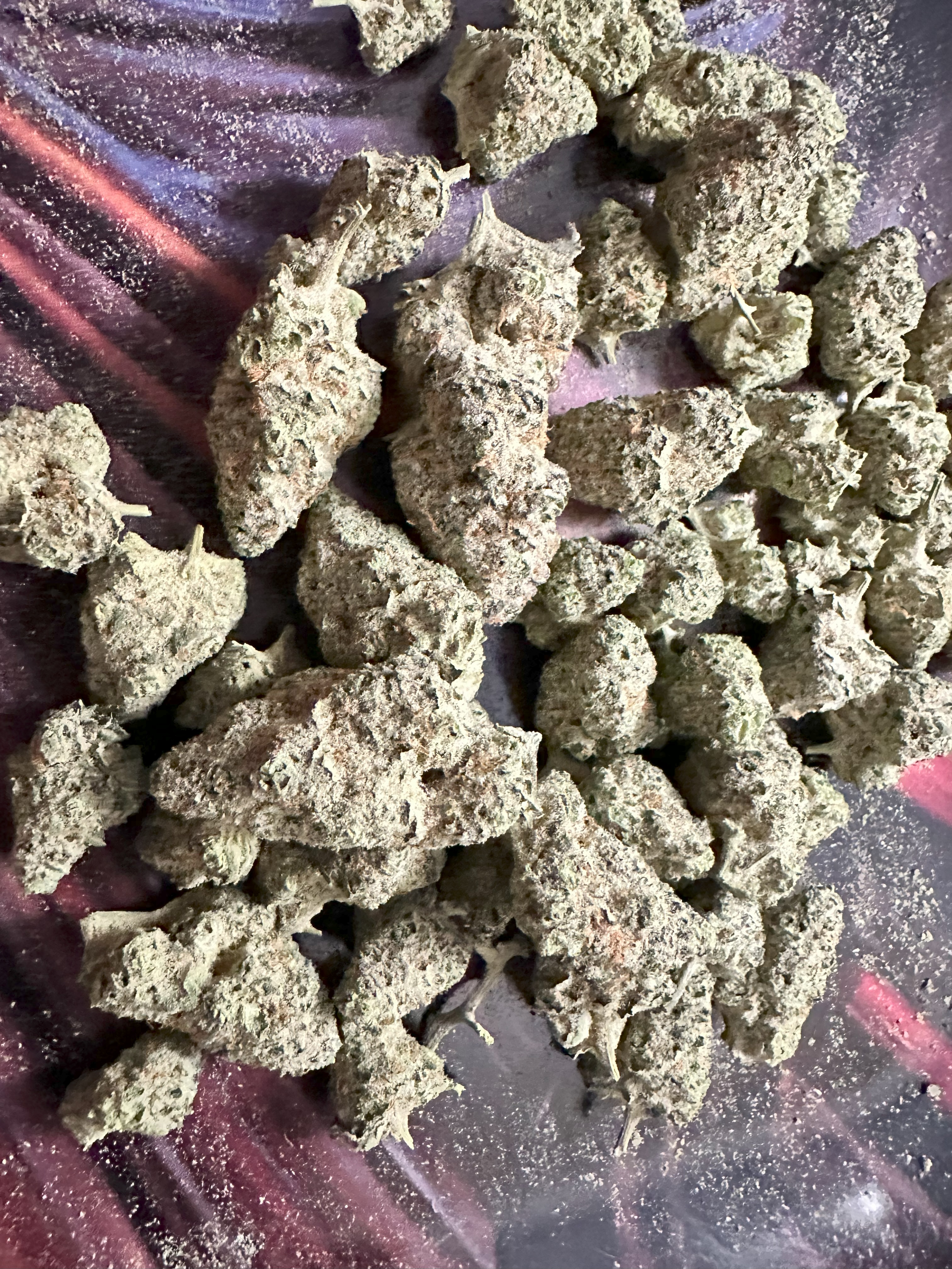 Zookies Strain - Potent, Smooth, Premium Quality